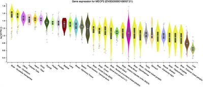 The Molecular Functions of MeCP2 in Rett Syndrome Pathology